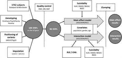 Inflamed Mind: Multiple Genetic Variants of IL6 Influence Suicide Risk Phenotypes in Interaction With Early and Recent Adversities in a Linkage Disequilibrium-Based Clumping Analysis